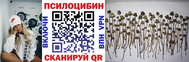 Галлюциногенные грибы Cubensis  наркошоп  Спас-Деменск 
